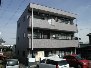 ニューヨコオの画像