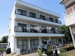 神奈川県伊勢原市白根【マンション】の外観