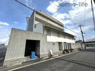 ひよどりの画像