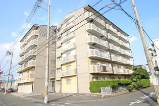 メゾンM&S【5階】の外観