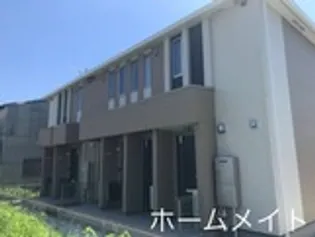 コンフォートオリーブの画像