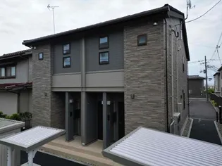 サンフラワーの画像