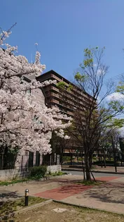 四季彩都くすのき館の画像