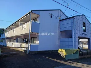 ピアパープルの画像