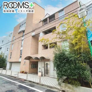 トーレタケダの画像