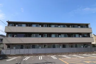 CLAIR PINEの画像