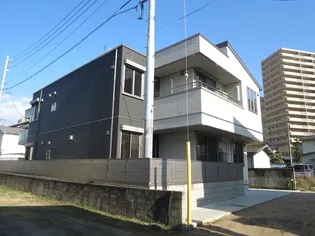 シャルマンドリームBの画像