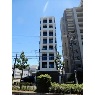 AVANTI ARATAMABASHIの画像