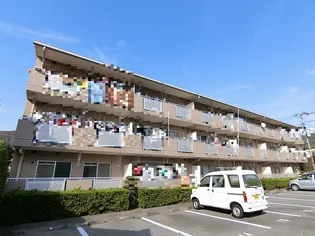 ベルハイム木の宮の画像