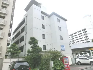 ステラ伸光の画像