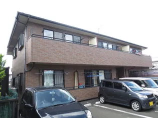 たんぽぽの画像