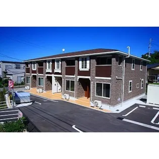 サニーブロッサムの画像