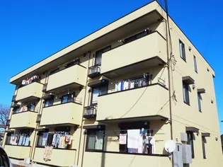 プリマべーラの画像