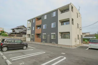 パーシモンの画像