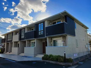 プラシードの画像