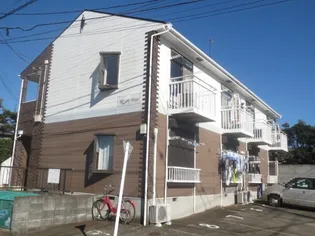 ホワイトスターの画像