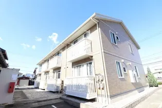 ブルームの画像