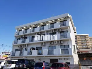 ピュアモリシタの画像