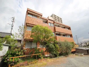 U Iファミリオの画像