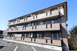 マルベリーコートの画像