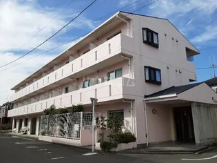 チェリーパイⅡの画像