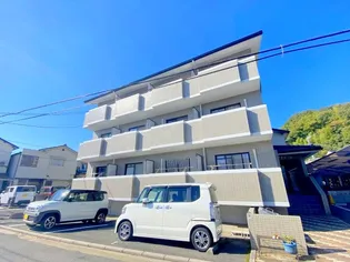 ピアチェーレの画像