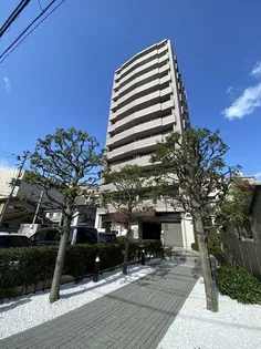 土樋パーク・ホームズ【8階】の外観