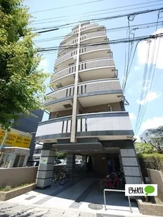 エストレーラの画像