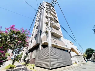 STELLA SENDAIZAKAの画像