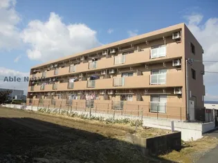 ピアーチェIIの画像