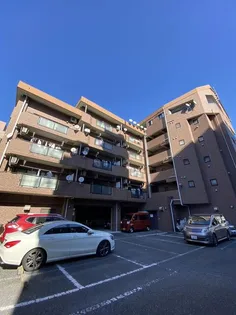 ラフィーネ篠崎の画像