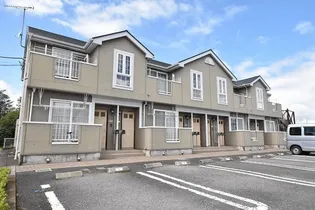 チェリーブロッサムCの画像