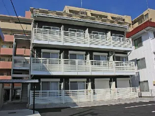 レオネクストラブバードの画像