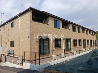 プラシード Sの画像