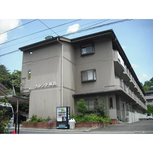 カレント林田の画像