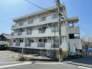 フェリス松栄の画像