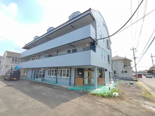 ベアベリーの画像