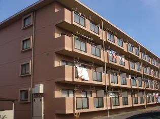 フィオーレマキの画像