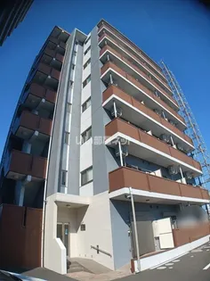 MONDO FUJI IIIの画像