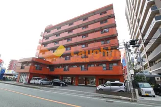 インポート久留米ルビーIIIの画像