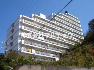 シーダーズハイツ【11階】の外観