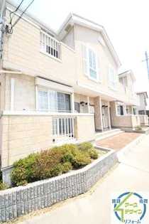 たちばなの画像