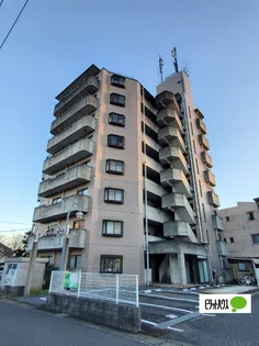 ベアフィールドの画像