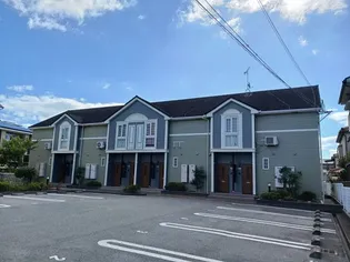 コモドジラソーレの画像