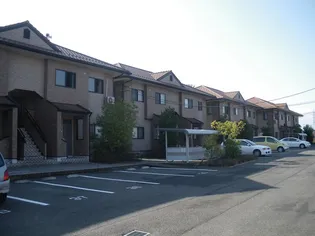 ネクステージサンライフ天神の画像