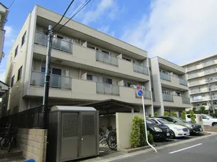 ストレチア レジーナの画像