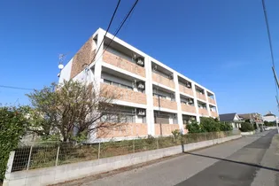 オアシス中山IIの画像