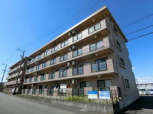 ブライトタイムIIの画像