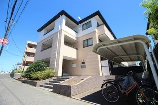 ヴァン クレールの画像