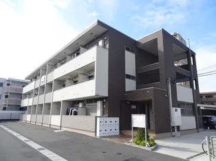 グリーン フォレストの画像